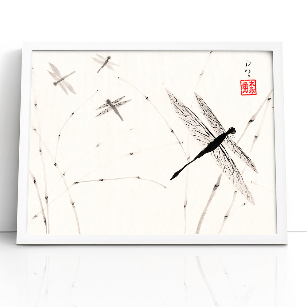 Dragonflies - (Framed Paper Print)