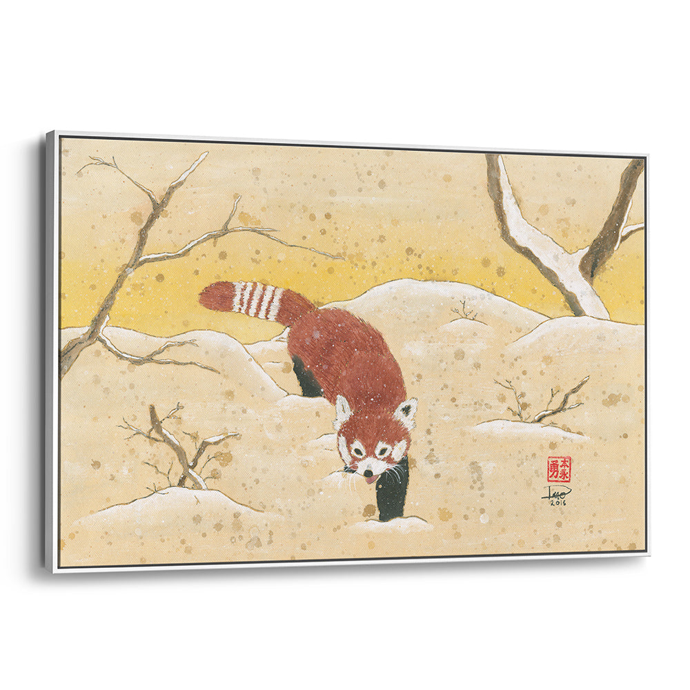 Red Panda in the Snow (Framed Canvas)