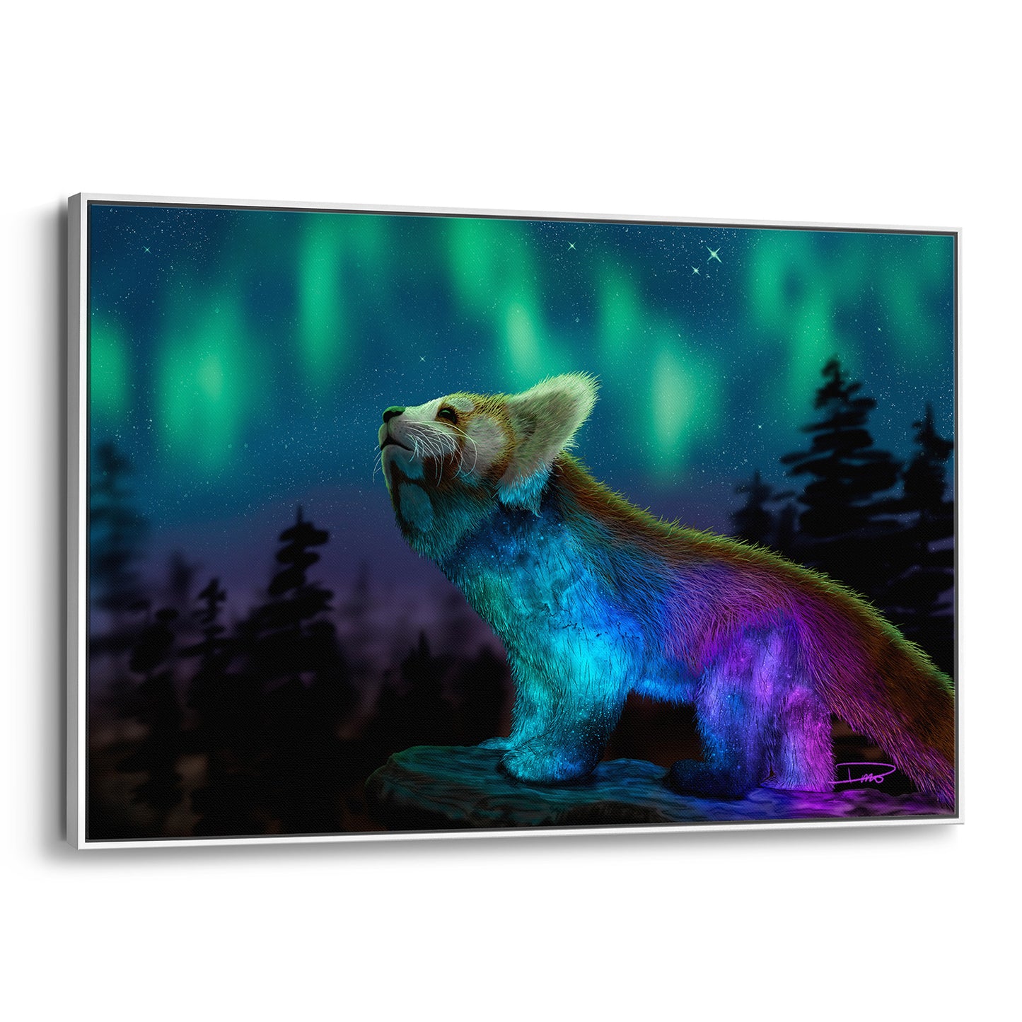 Stargazing (Framed Canvas)