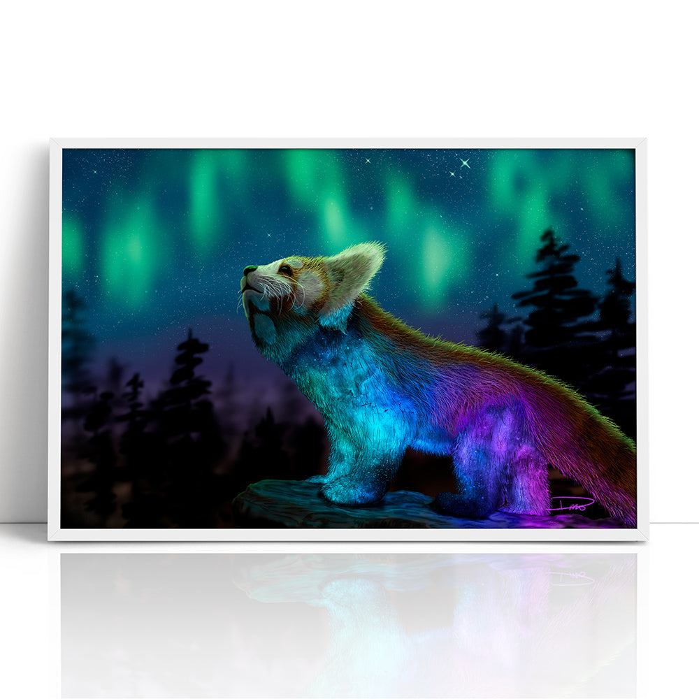 Stargazing (Framed Paper Print)