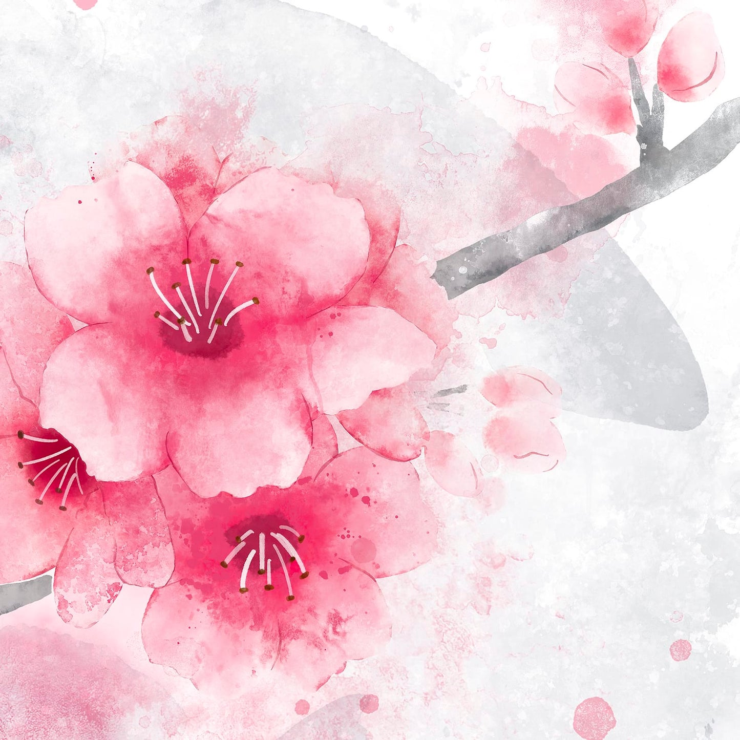 Cherry Blossoms Watercolor Painting (Paper Print)