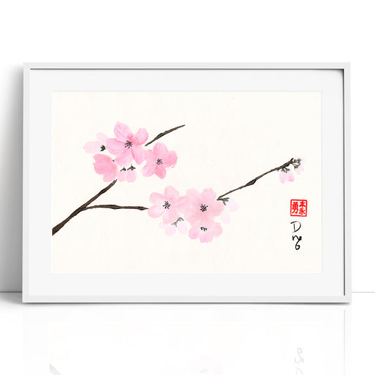 Cherry Blossoms - (Framed Paper Print)
