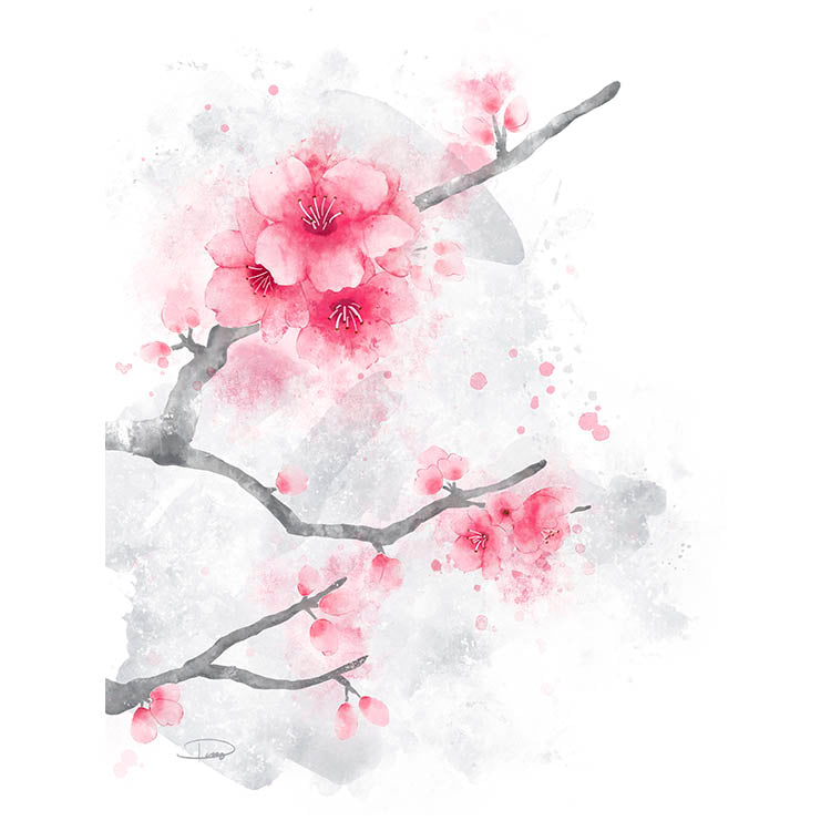 Cherry Blossoms Watercolor Painting (Paper Print)