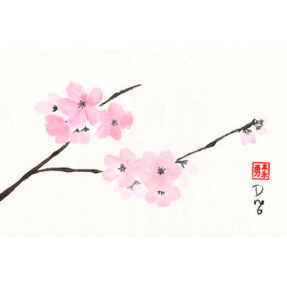 Cherry Blossoms - (Framed Paper Print)