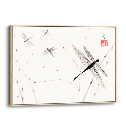 Dragonflies - (Framed Canvas)
