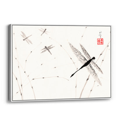 Dragonflies - (Framed Canvas)