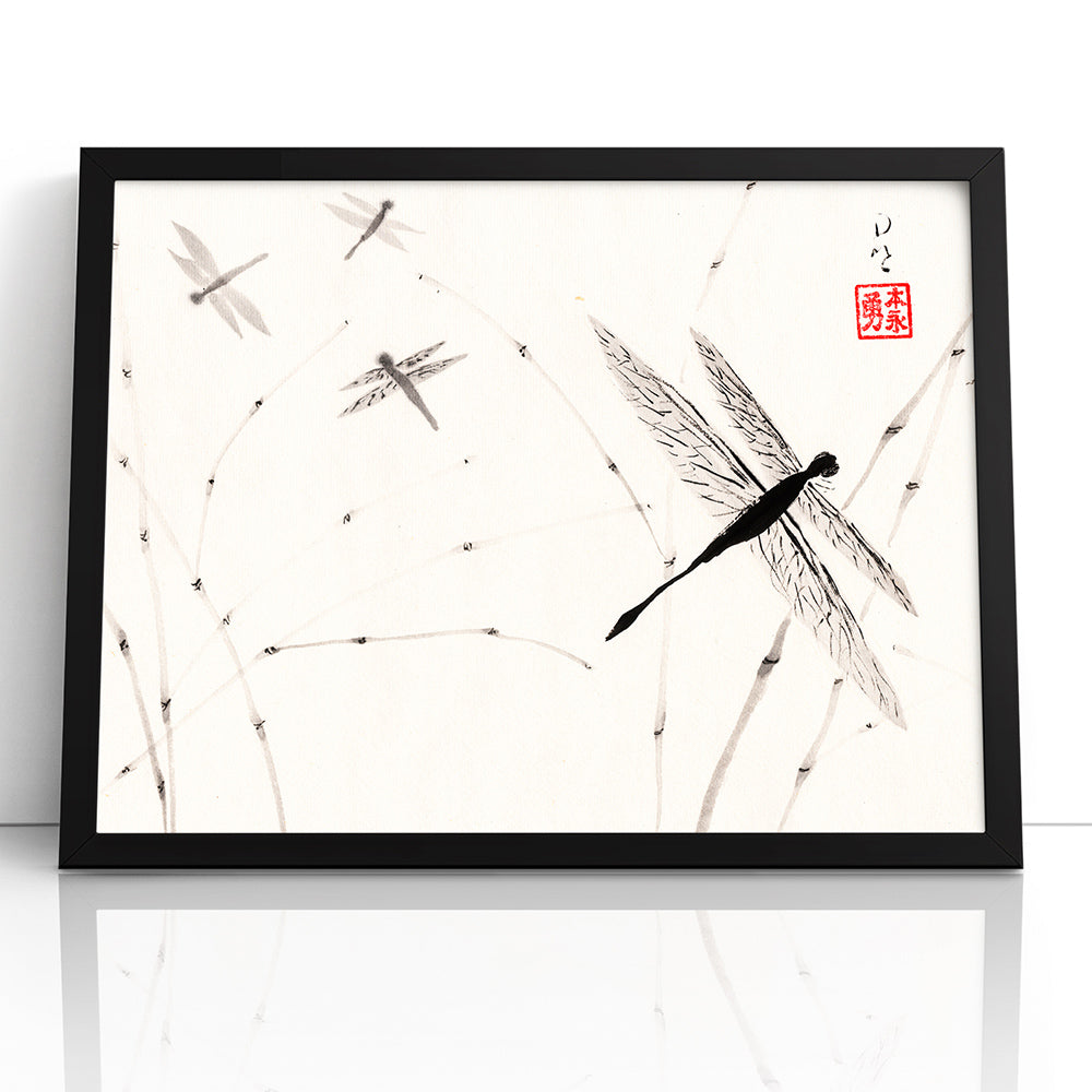 Dragonflies - (Framed Paper Print)