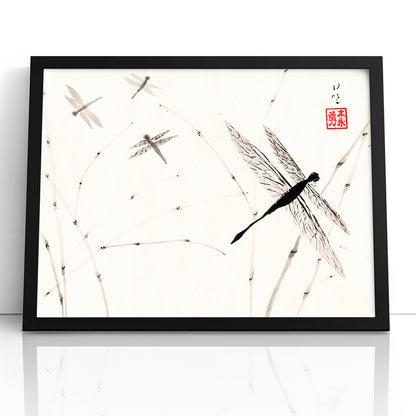 Dragonflies - (Framed Paper Print)