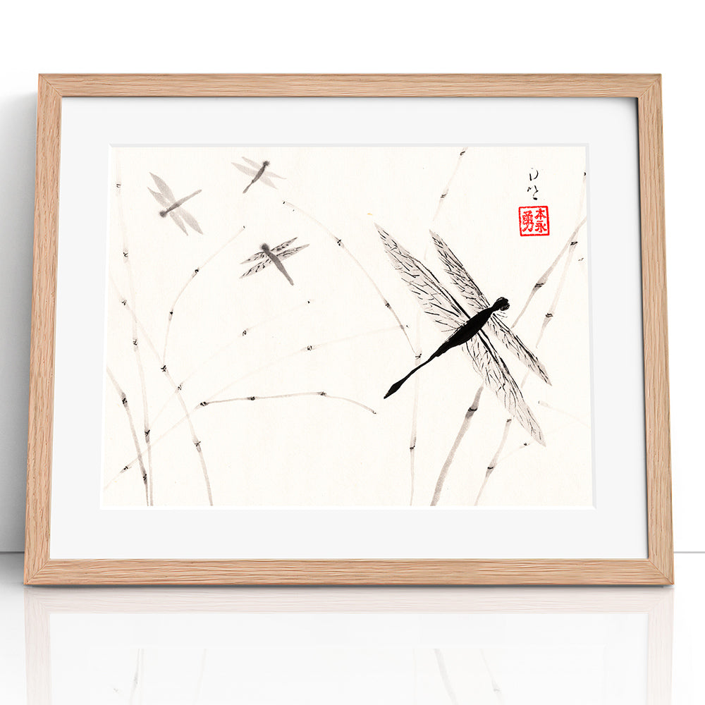 Dragonflies - (Framed Paper Print)
