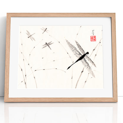 Dragonflies - (Framed Paper Print)