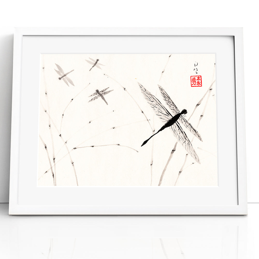 Dragonflies - (Framed Paper Print)