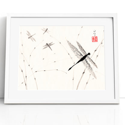 Dragonflies - (Framed Paper Print)