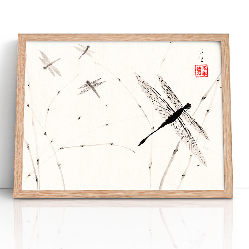 Dragonflies - (Framed Paper Print)