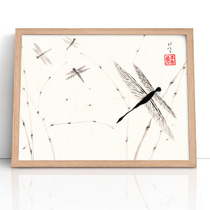 Dragonflies - (Framed Paper Print)