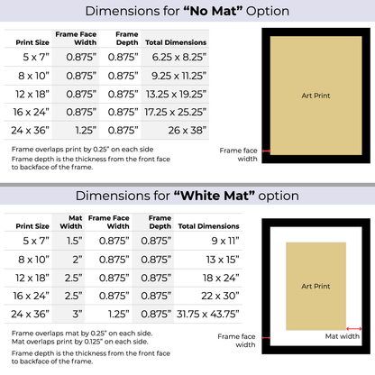 Red Panda in the Snow (Framed Paper Print)