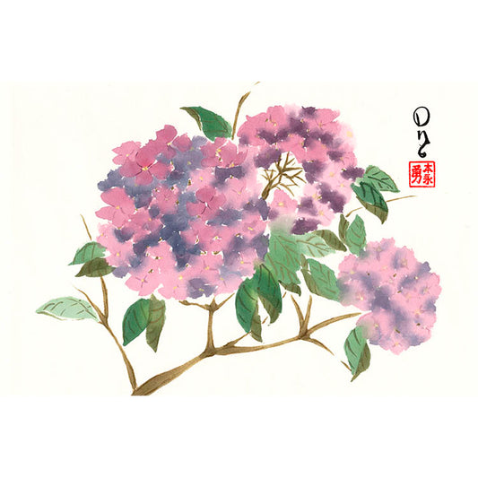 Purple Hydrangeas (Paper Print)