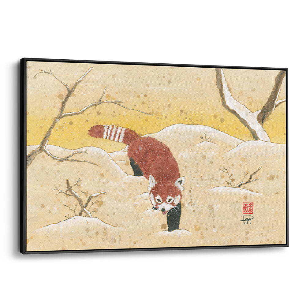 Red Panda in the Snow (Framed Canvas)