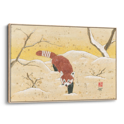 Red Panda in the Snow (Framed Canvas)