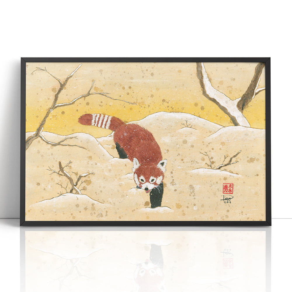Red Panda in the Snow (Framed Paper Print)