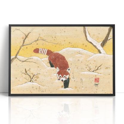 Red Panda in the Snow (Framed Paper Print)