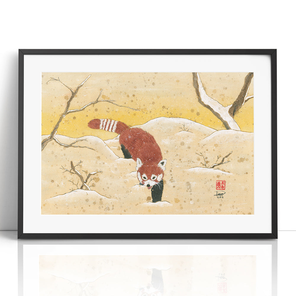 Red Panda in the Snow (Framed Paper Print)