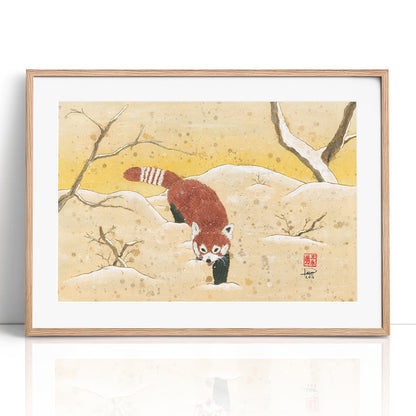 Red Panda in the Snow (Framed Paper Print)