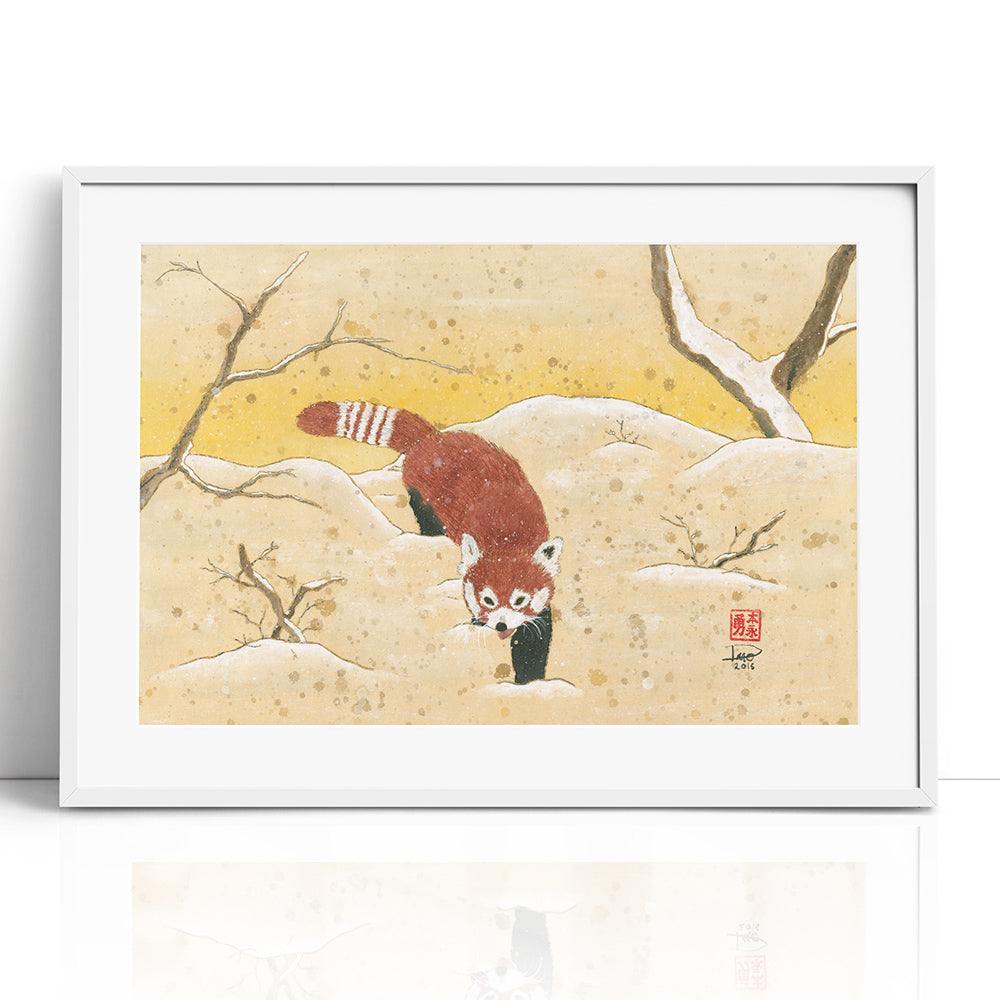Red Panda in the Snow (Framed Paper Print)