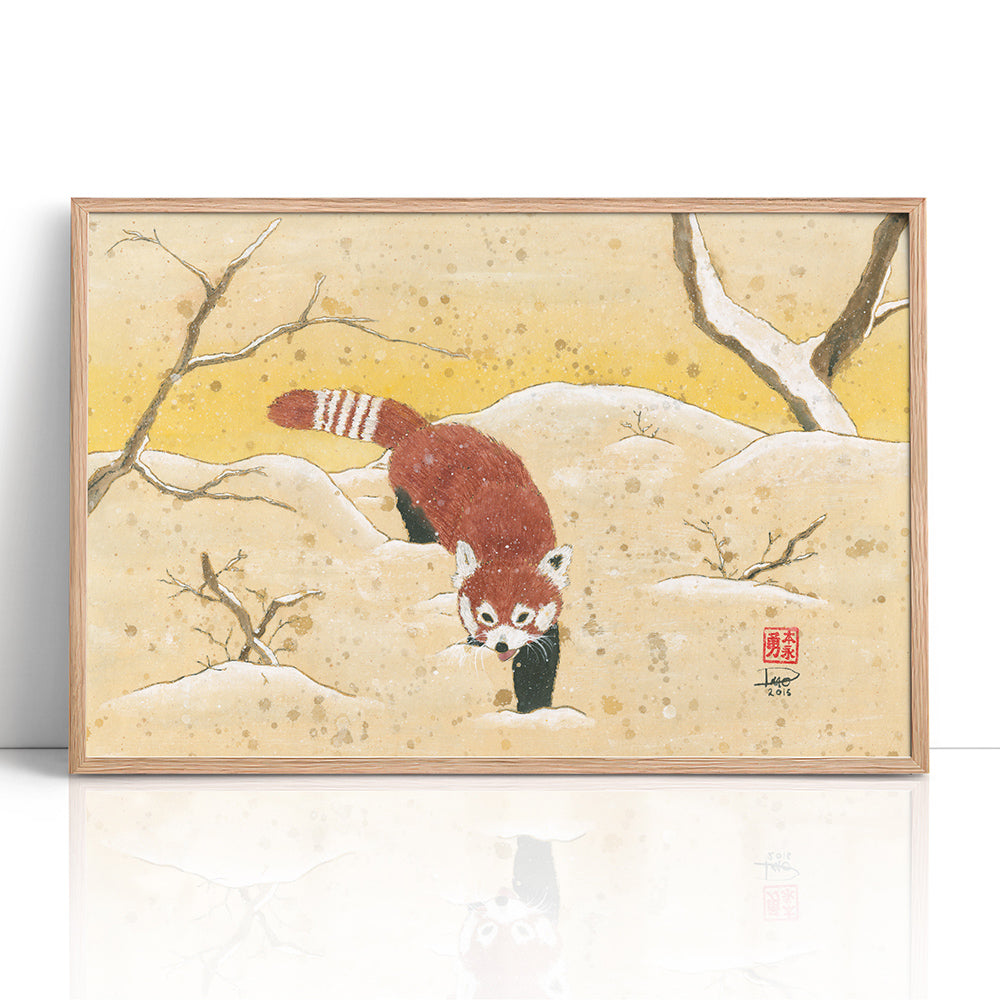 Red Panda in the Snow (Framed Paper Print)