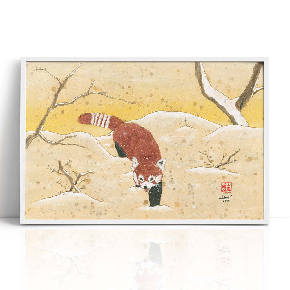 Red Panda in the Snow (Framed Paper Print)