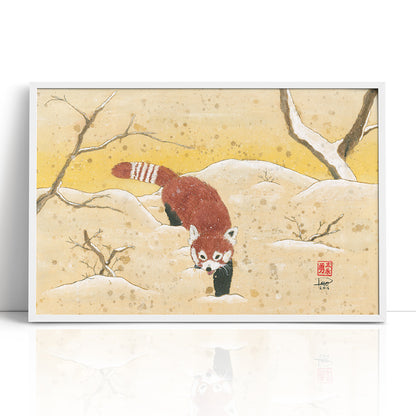 Red Panda in the Snow (Framed Paper Print)