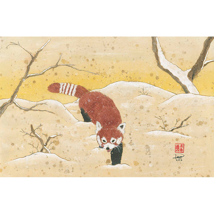 Red Panda in the Snow (Framed Paper Print)