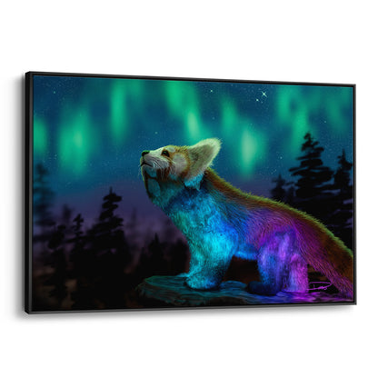 Stargazing (Framed Canvas)