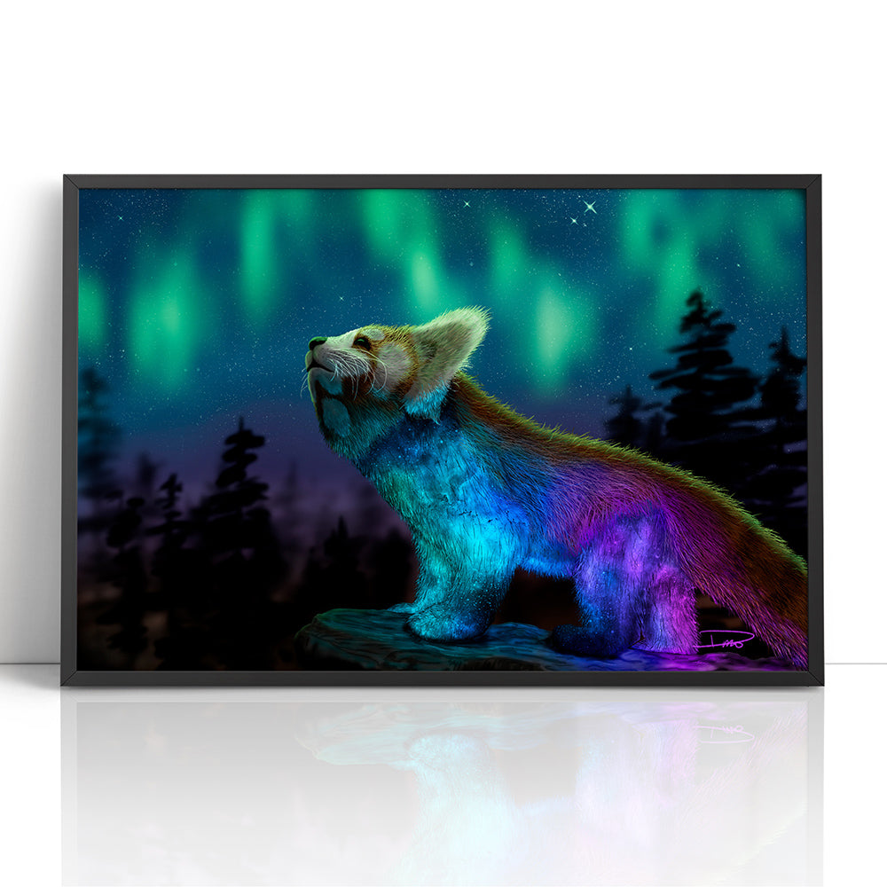 Stargazing (Framed Paper Print)