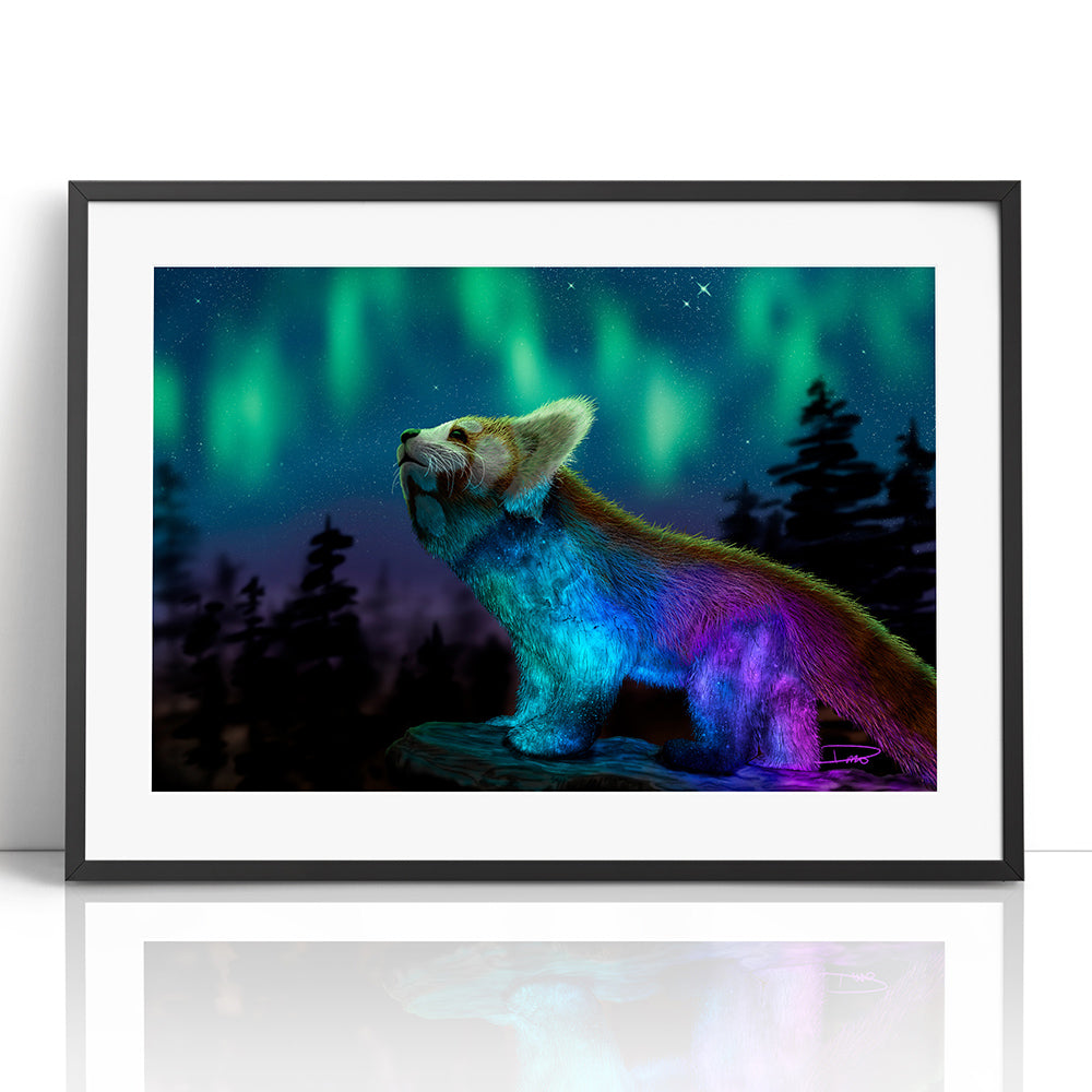 Stargazing (Framed Paper Print)