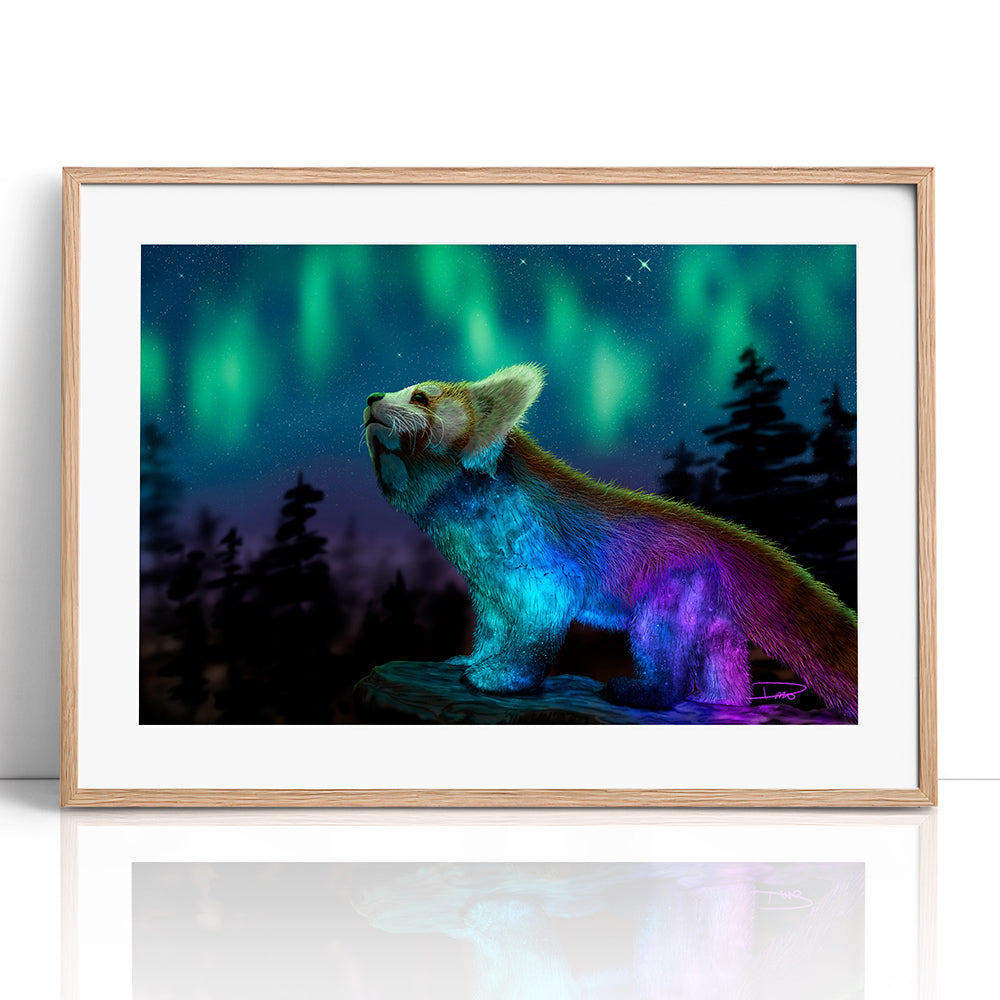 Stargazing (Framed Paper Print)