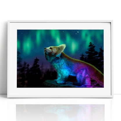 Stargazing (Framed Paper Print)