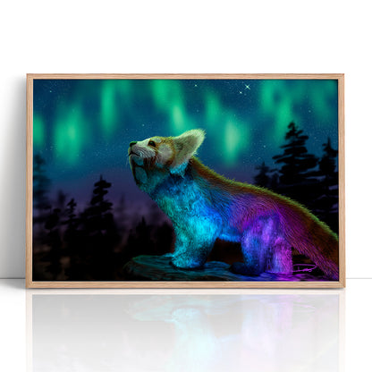 Stargazing (Framed Paper Print)