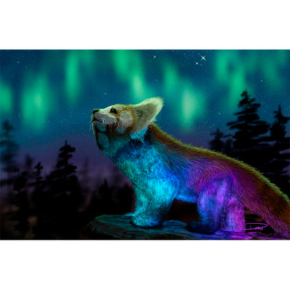 Stargazing (Framed Paper Print)